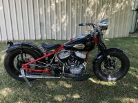 Harley - April 2022 (1).jpg